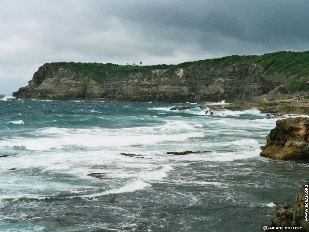 fonds d cran Antilles Guadeloupe - de Ariane Vollery