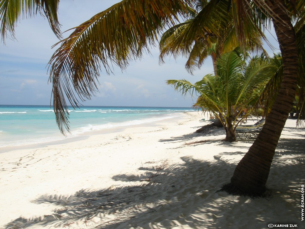 fonds d cran Caraibes Republique Dominicaine ile de Saona - de Karine Zuk