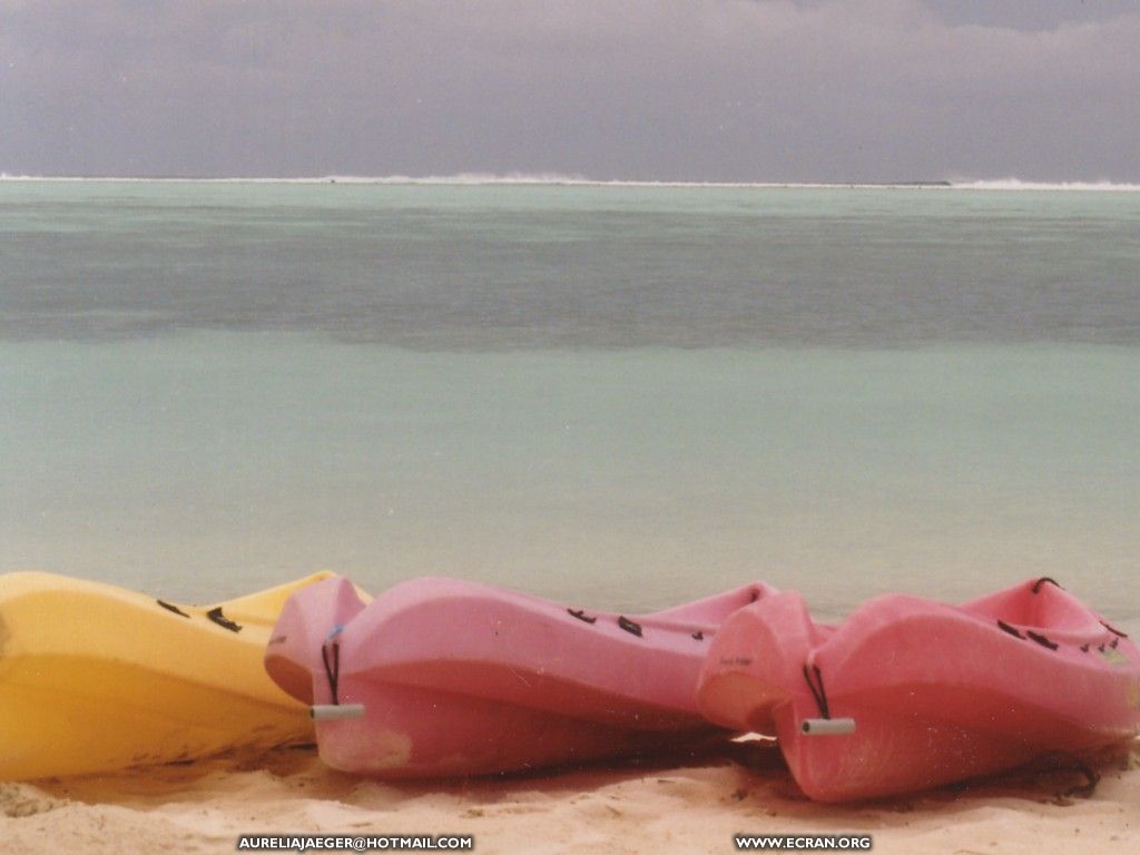 fonds d cran Asie du Sud-Ouest - Au dtour des plages des Maldives et des Antilles - de Aurelia Jaeger