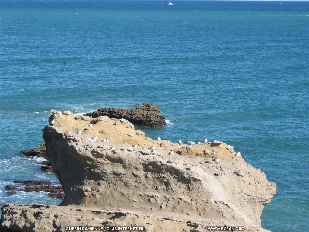 fonds d cran Sud-Ouest -  Biarritz - Fond cran de Damienne Gurin - de Damienne Guerin